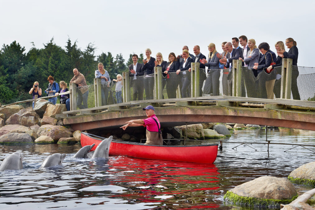 Dolfinarium afhuren