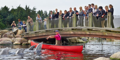 Afbeelding bij Dolfinarium afhuren