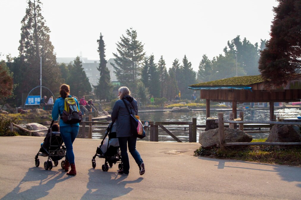 familie bij dolfijnen delta