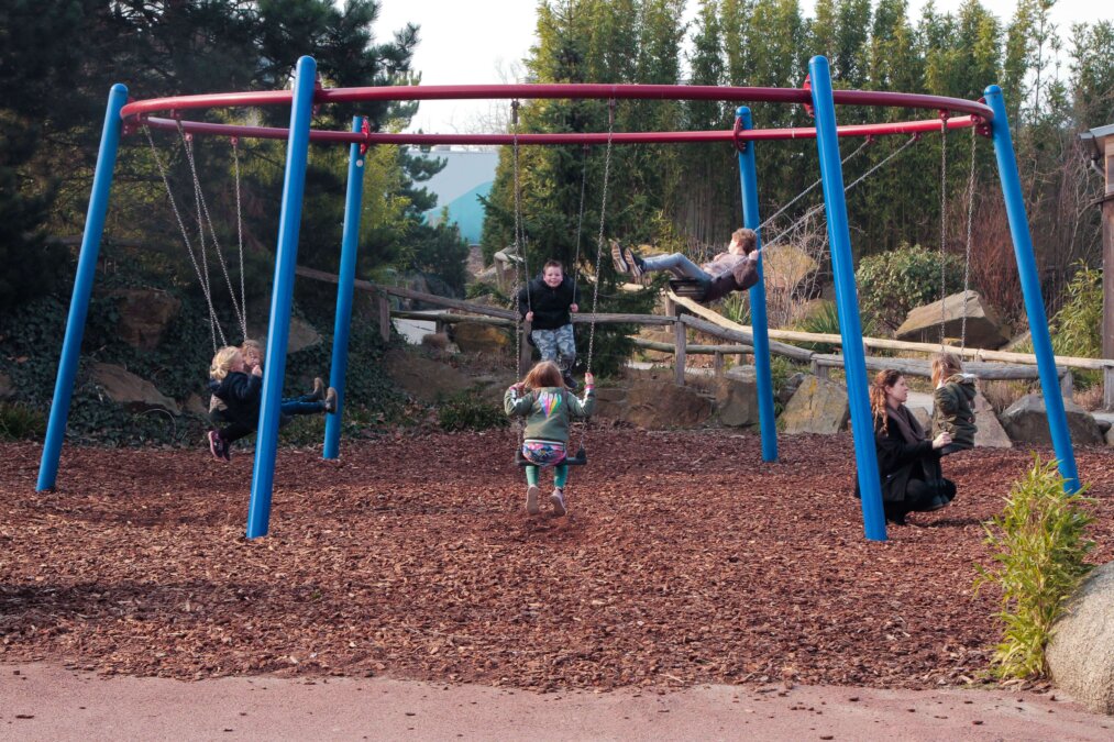 kinderen die schommelen