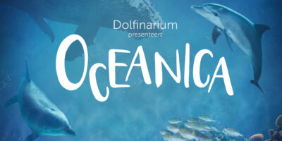 Afbeelding bij Oceanica