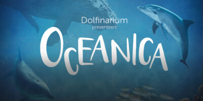 Afbeelding bij Oceanica