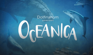 Afbeelding bij Oceanica