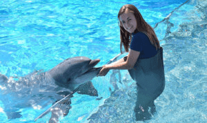 Afbeelding bij Im Wasser bei Delfinen