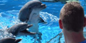 Afbeelding bij Exclusieve mogelijkheden en extra’s