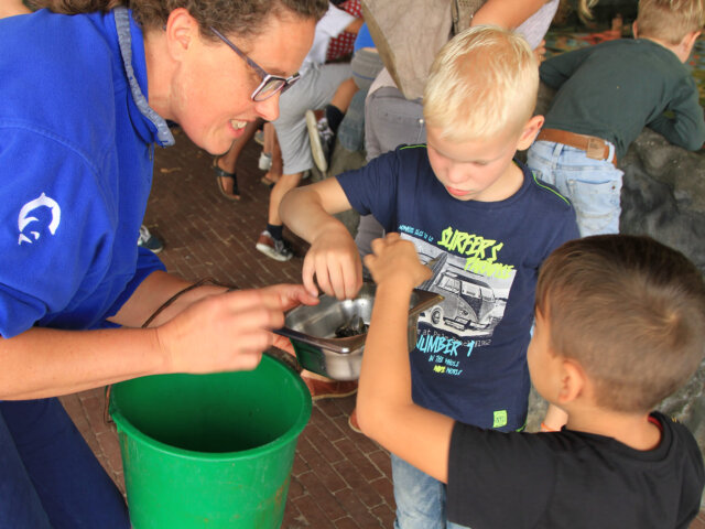 BBU_1409_kleiner